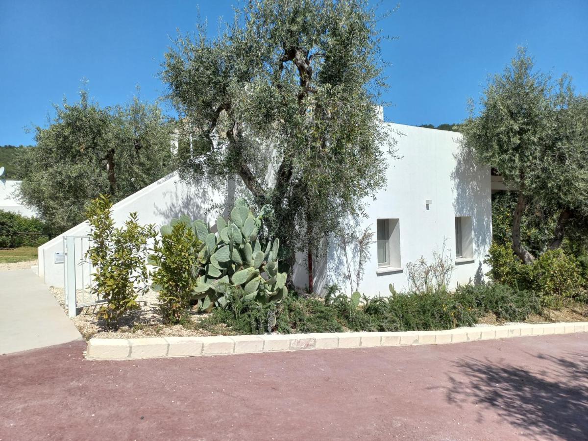 Hmo Glamping & Suites In Vignanotica Mattinata Εξωτερικό φωτογραφία